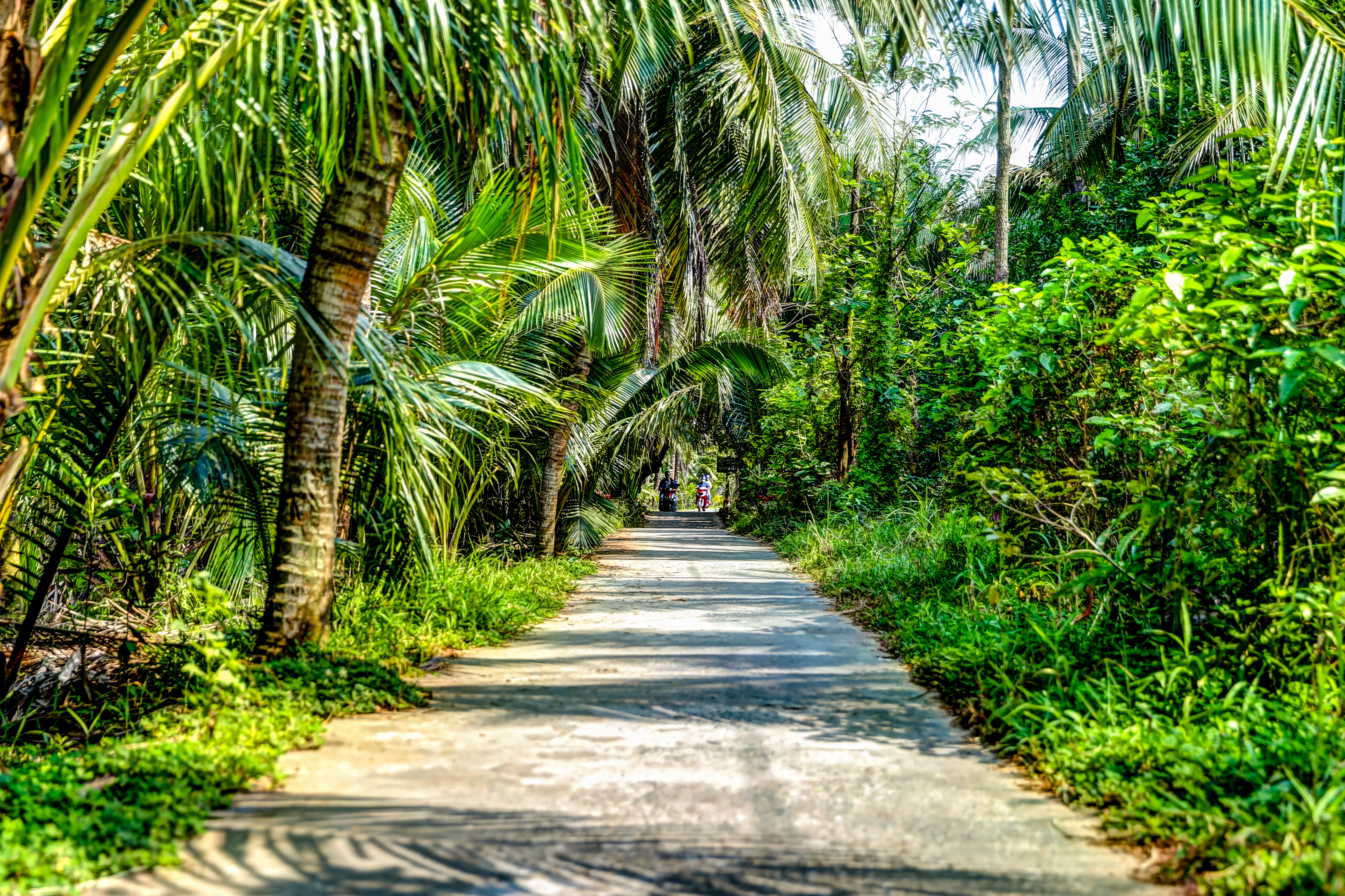 Envol vers Hô-Chi-Minh ! 