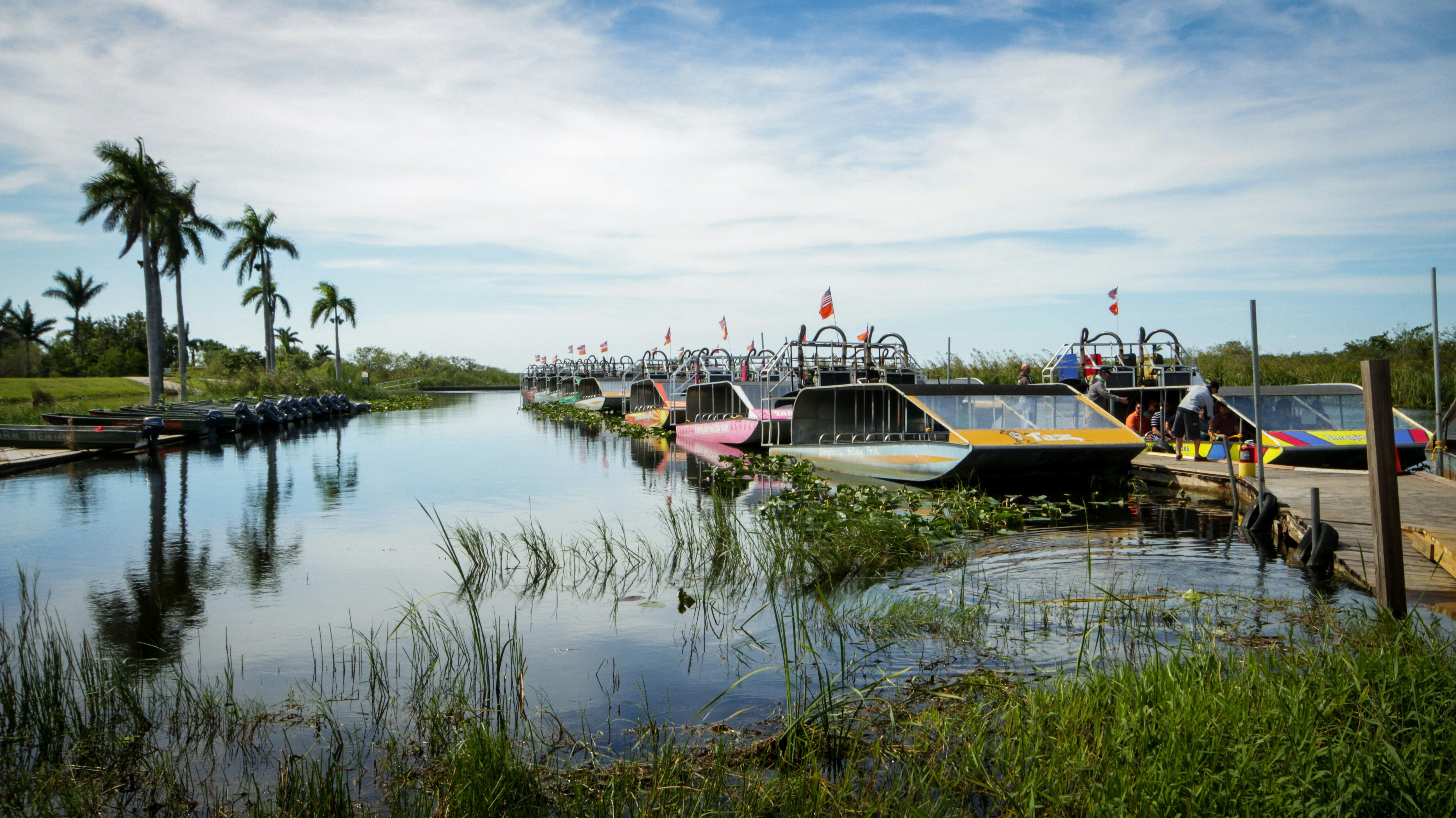 Visite des Everglades