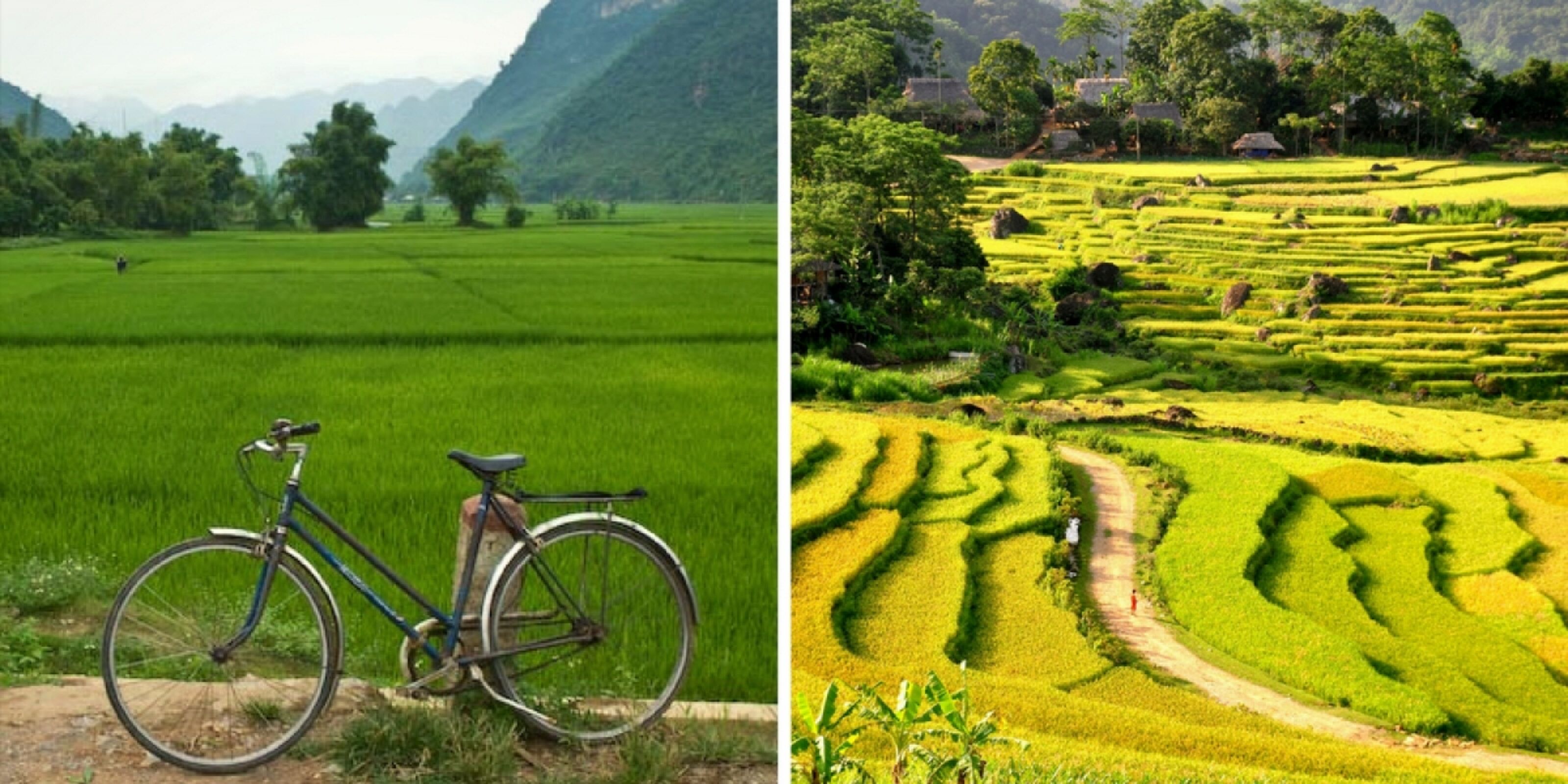 Ninh Binh, la Baie d’Halong terrestre