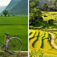 Ninh Binh, la Baie d’Halong terrestre