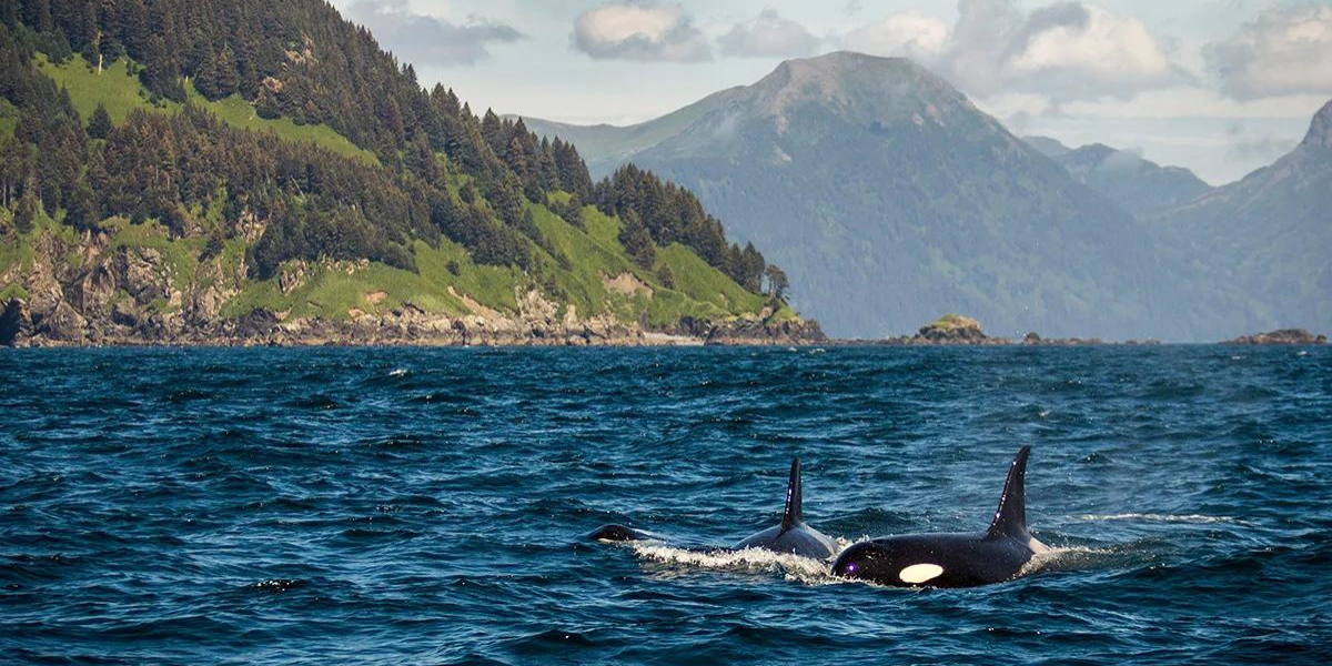 Passage Intérieur du Canada 