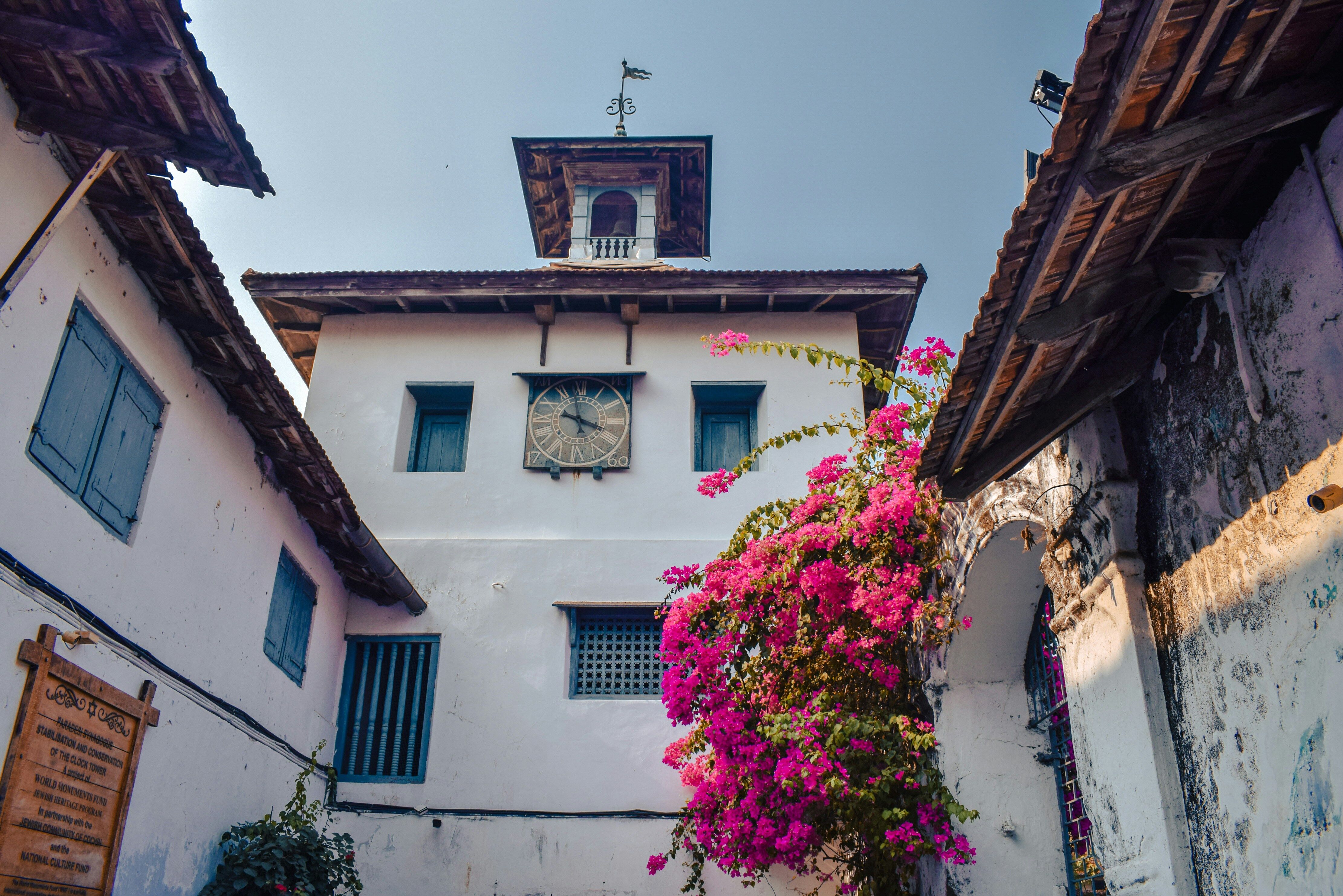 Fort Cochin : Yoga et traditions du Kerala 