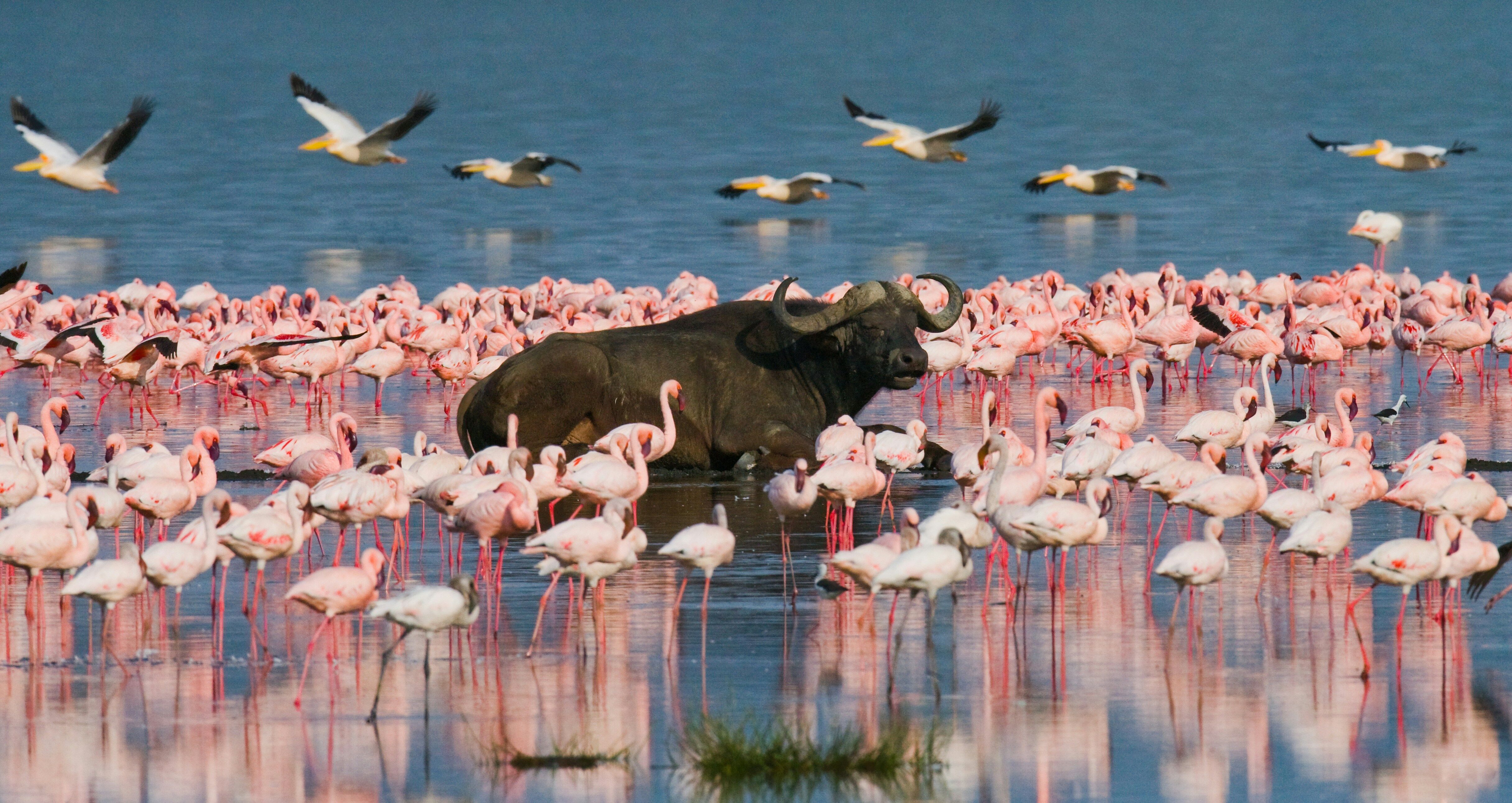 Nairobi - Nakuru 