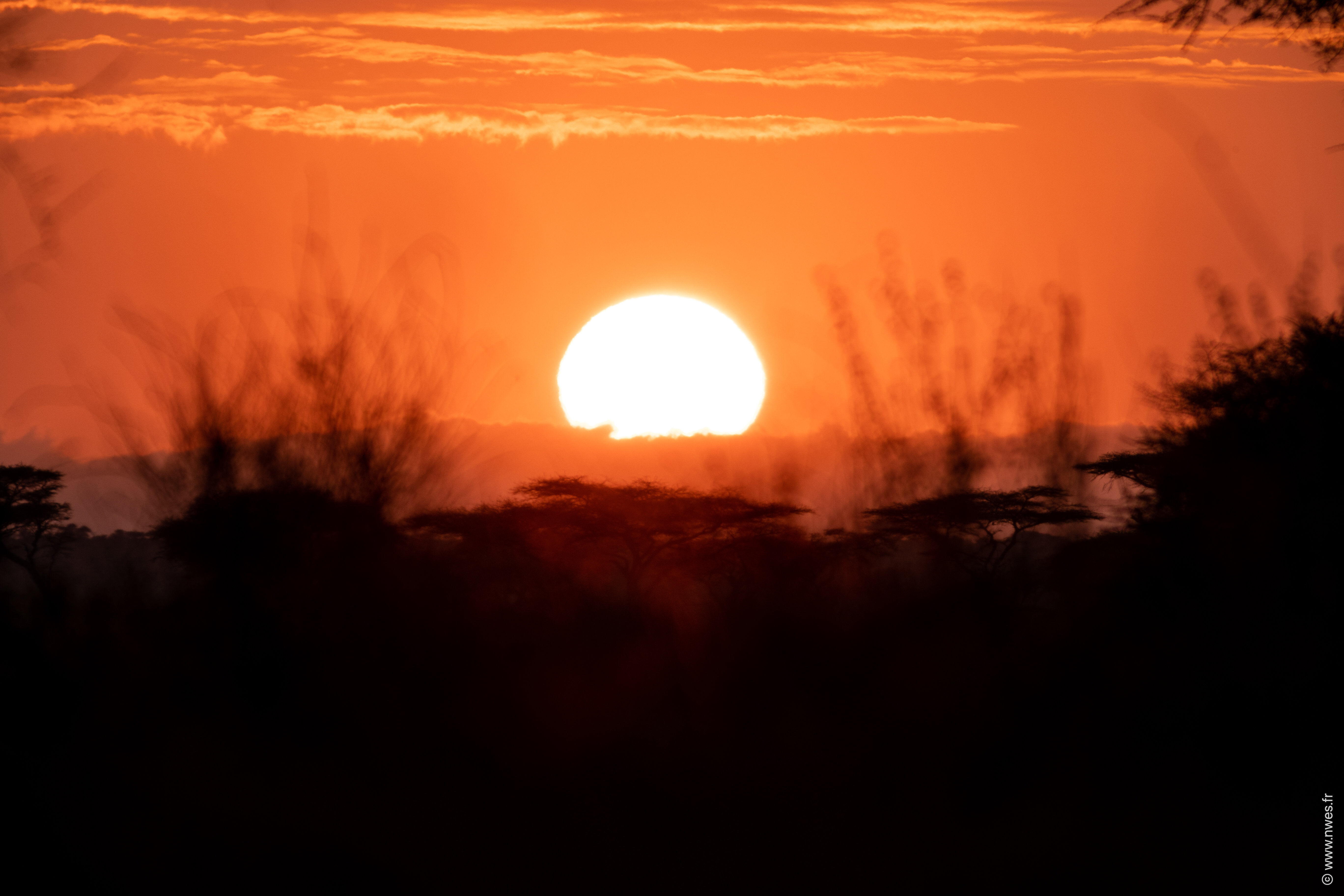 Amini - Kilimanjaro : vol retour 