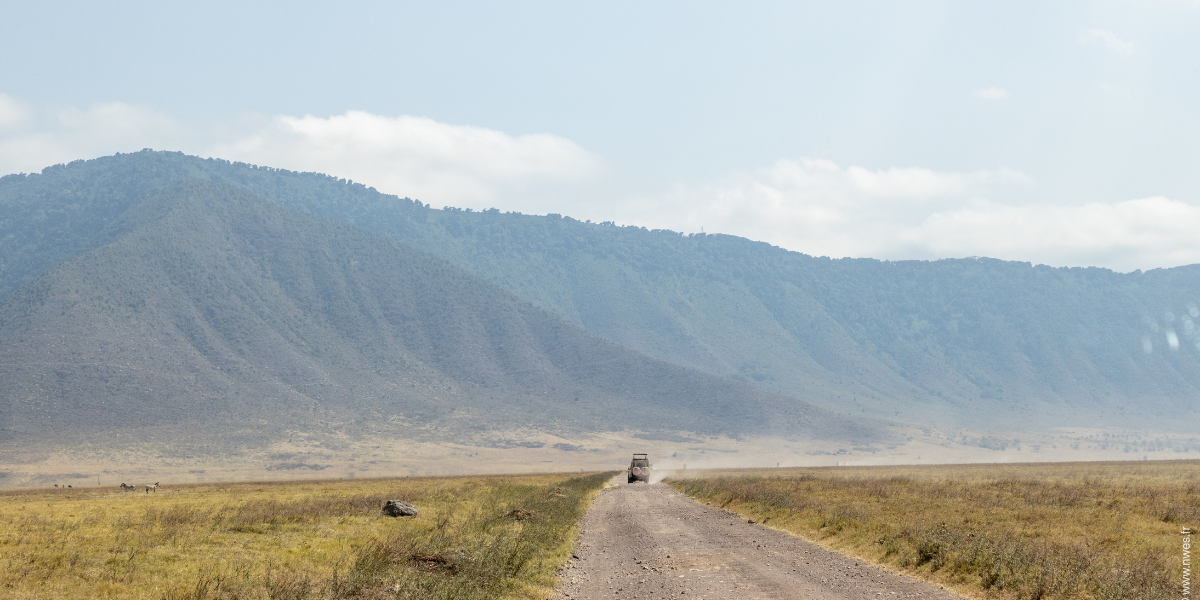 Vol pour Kilimandjaro 