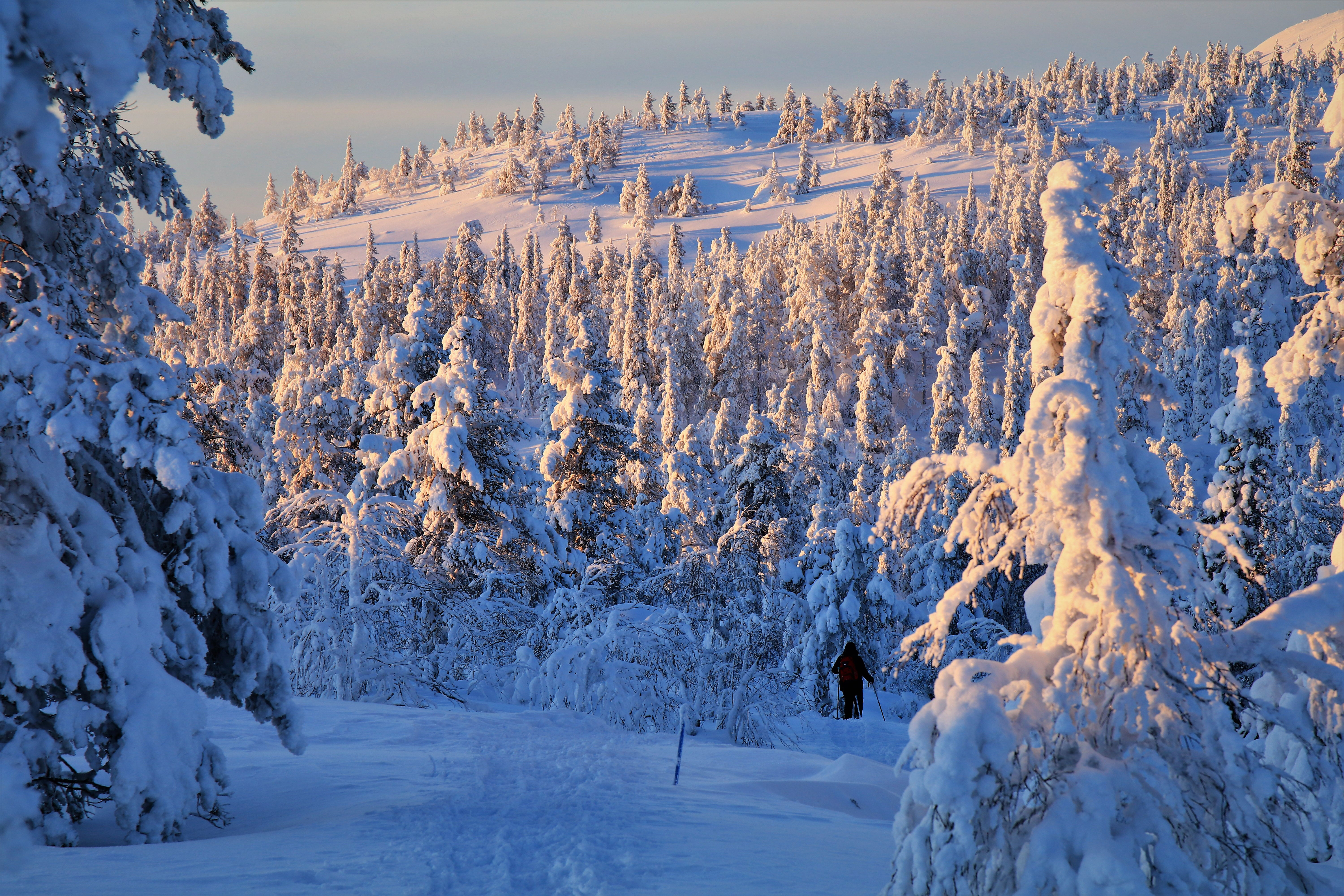 Vol pour Rovaniemi