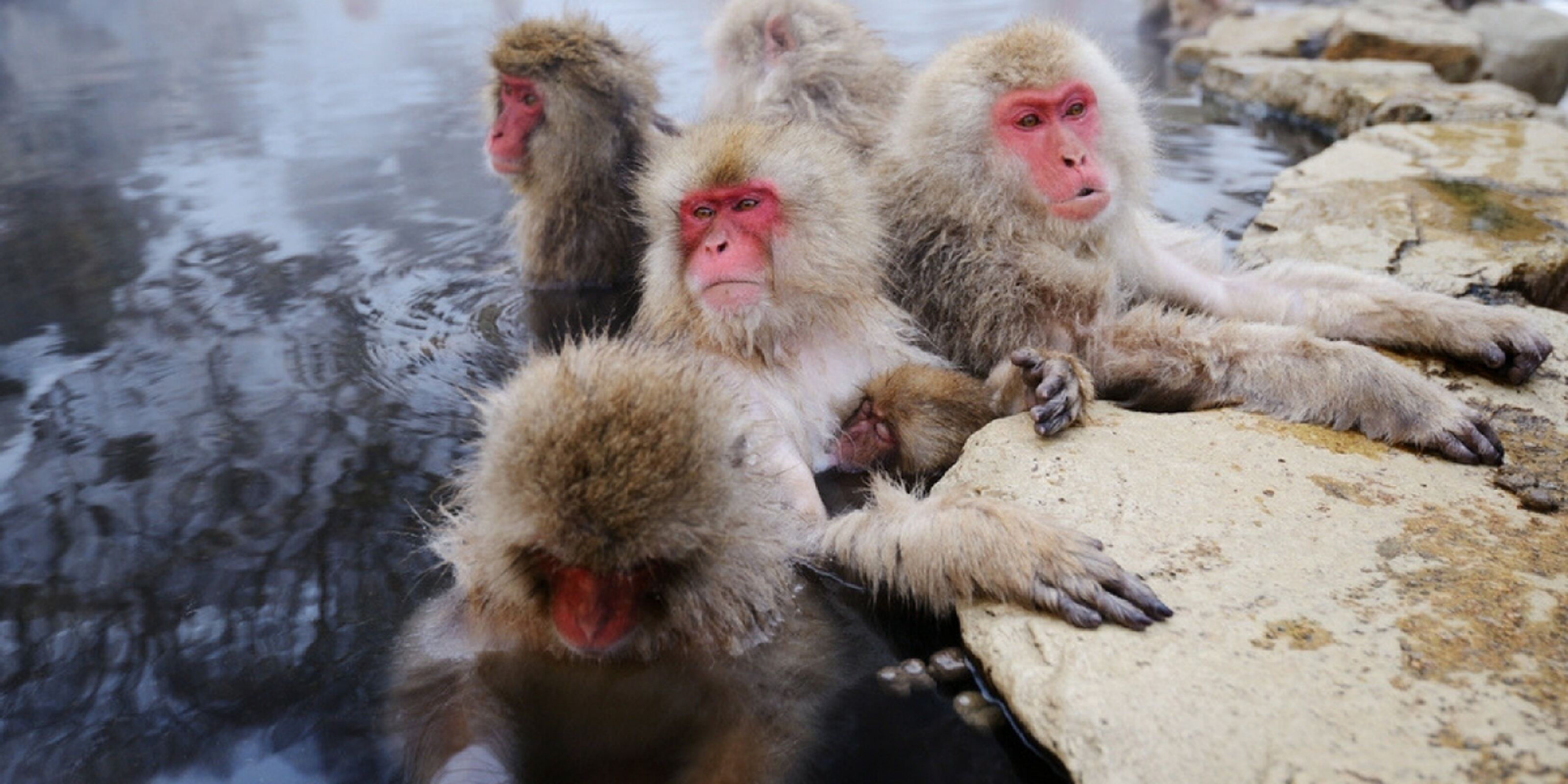 Direction Shibu Onsen