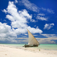 Bienvenue à Zanzibar ! (Attention les vols peuvent partir la veille)