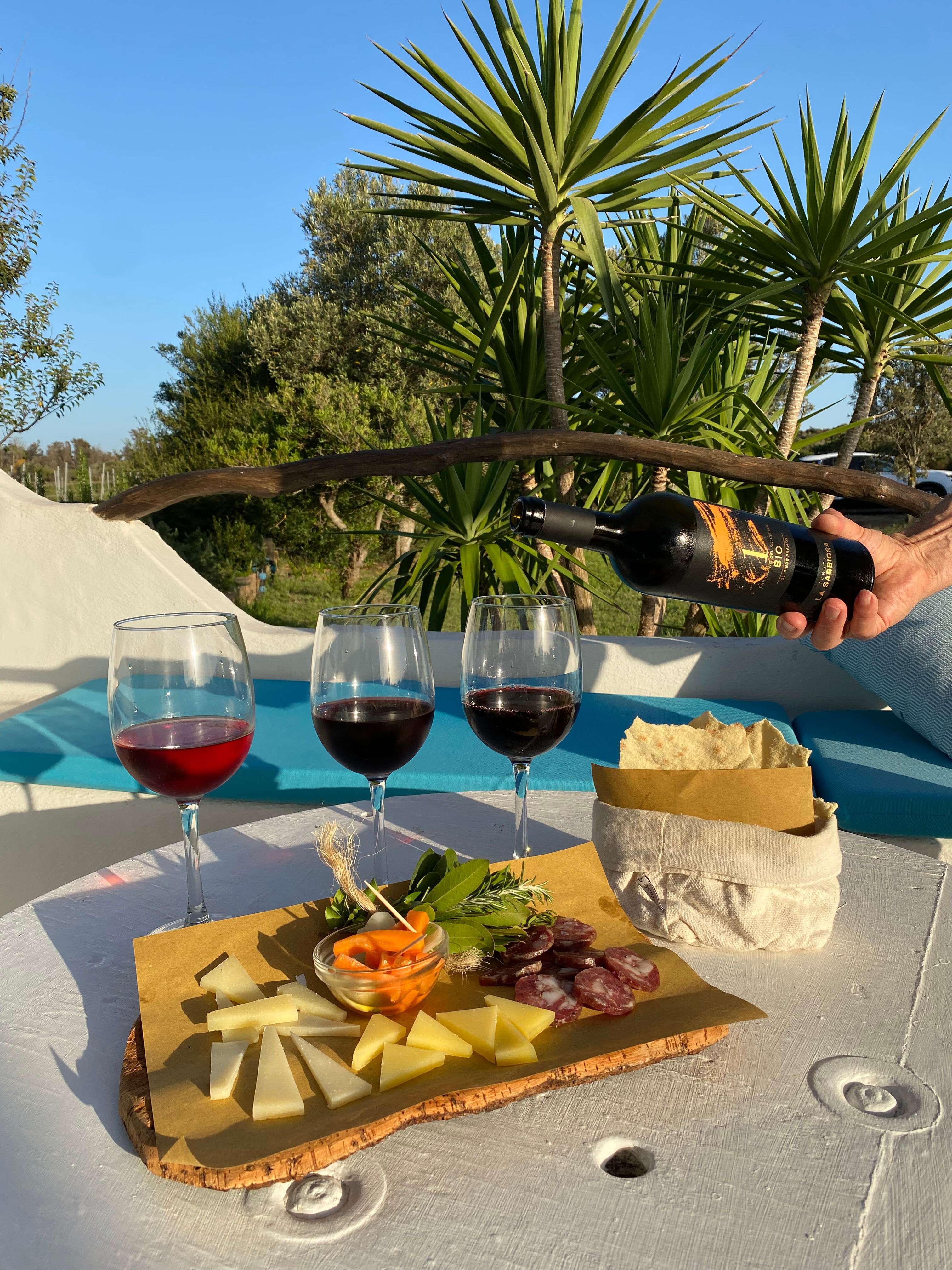 Visite d’un vignoble et dégustation de vins