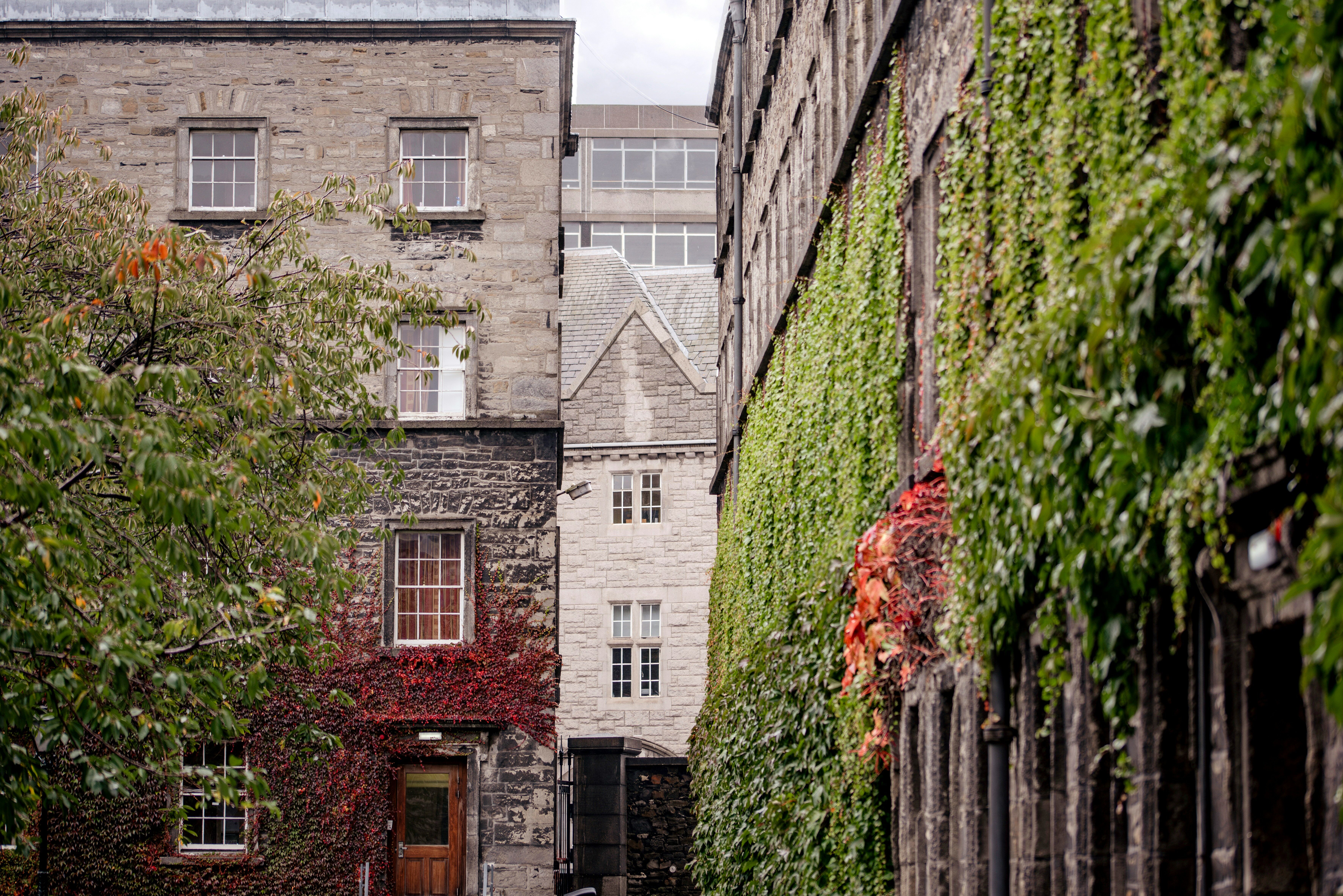 Dublin : vol retour