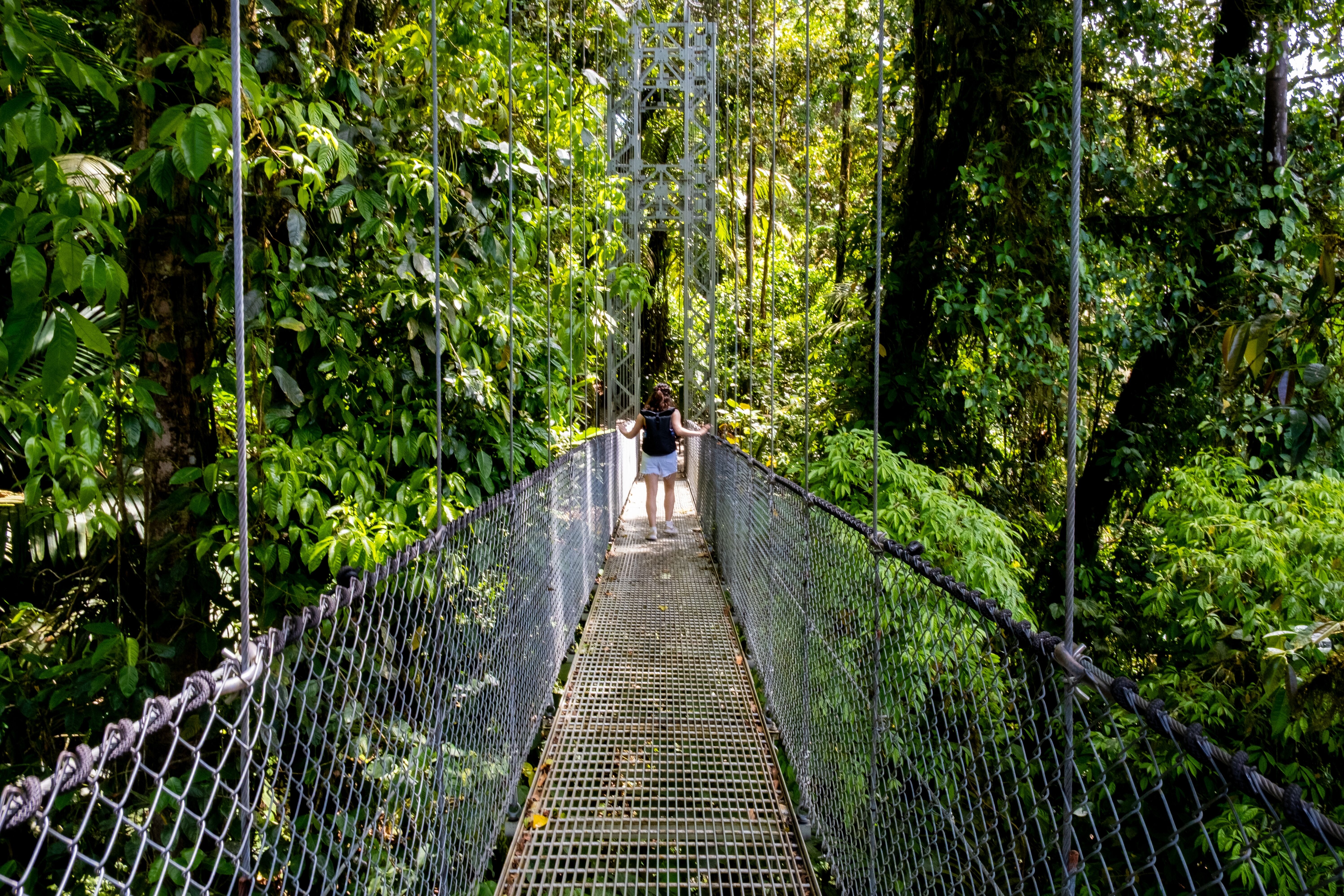 Monteverde : balade sur les ponts suspendus 