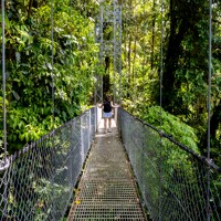 Monteverde : balade sur les ponts suspendus