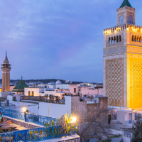 Vol pour Tunis (non inclus)