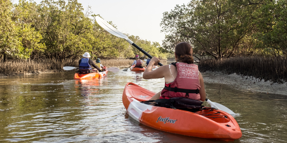Kayak dans les mangroves