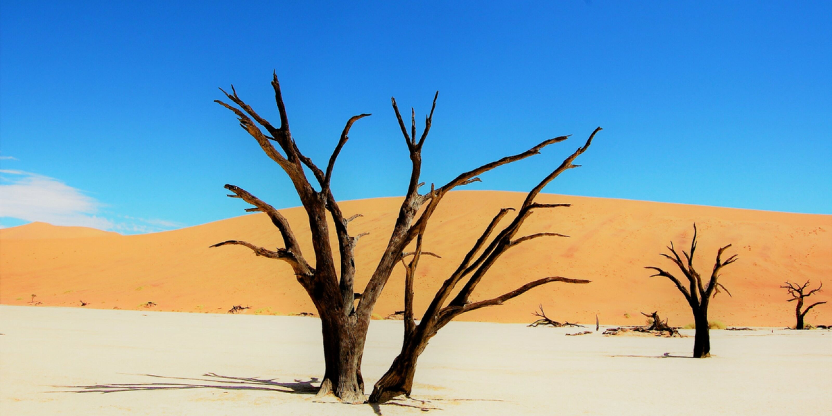 Dunes géantes, antilopes et paysages époustouflants
