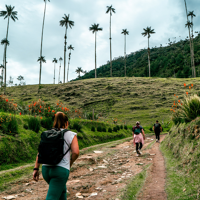 Randonnée dans la vallée de Cocora