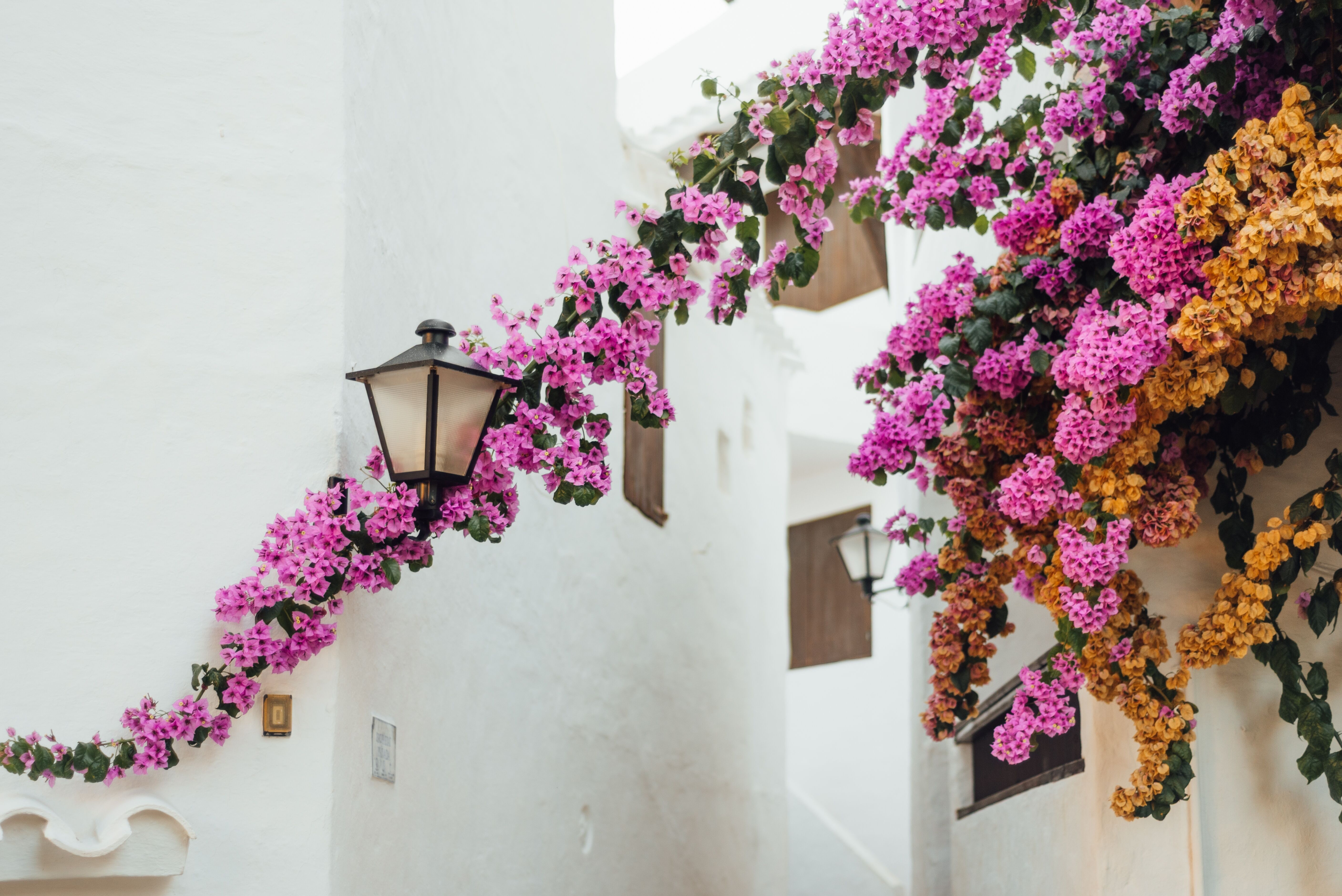 Cala en Porter : vol retour 