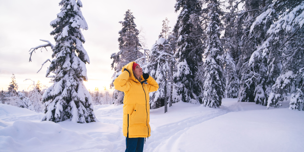 Rovaniemi : vol retour 