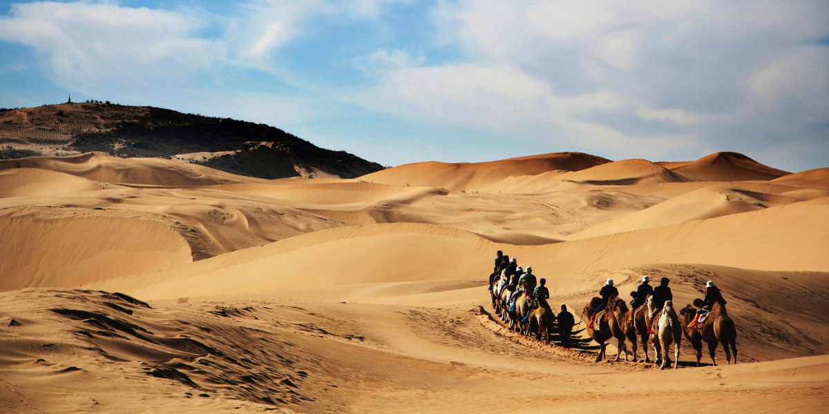 Randonnée à dos de chameau