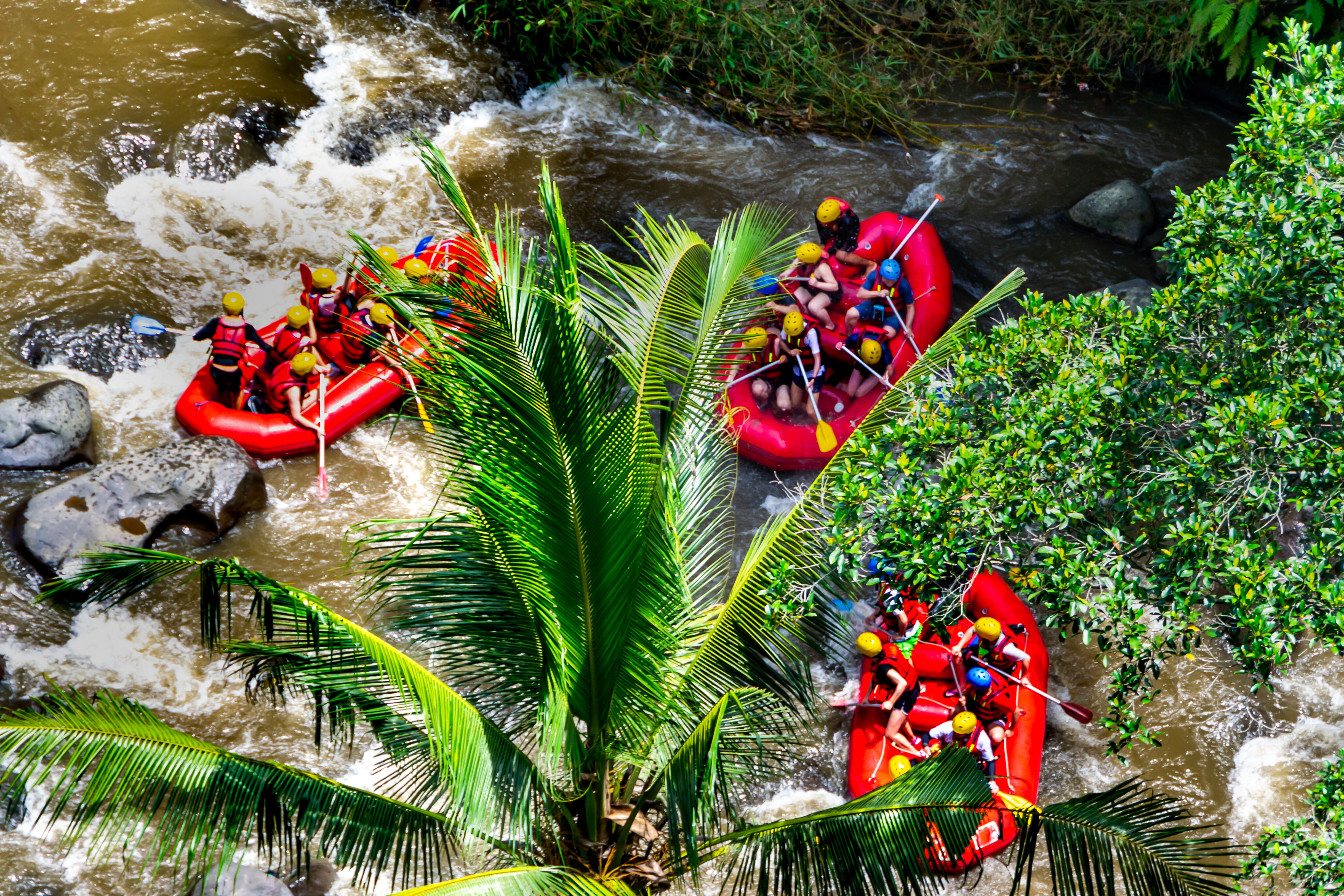 Ubud : rafting, rizières de Tegallalang, souces sacrées de Tirta Empul et forêt des singes 