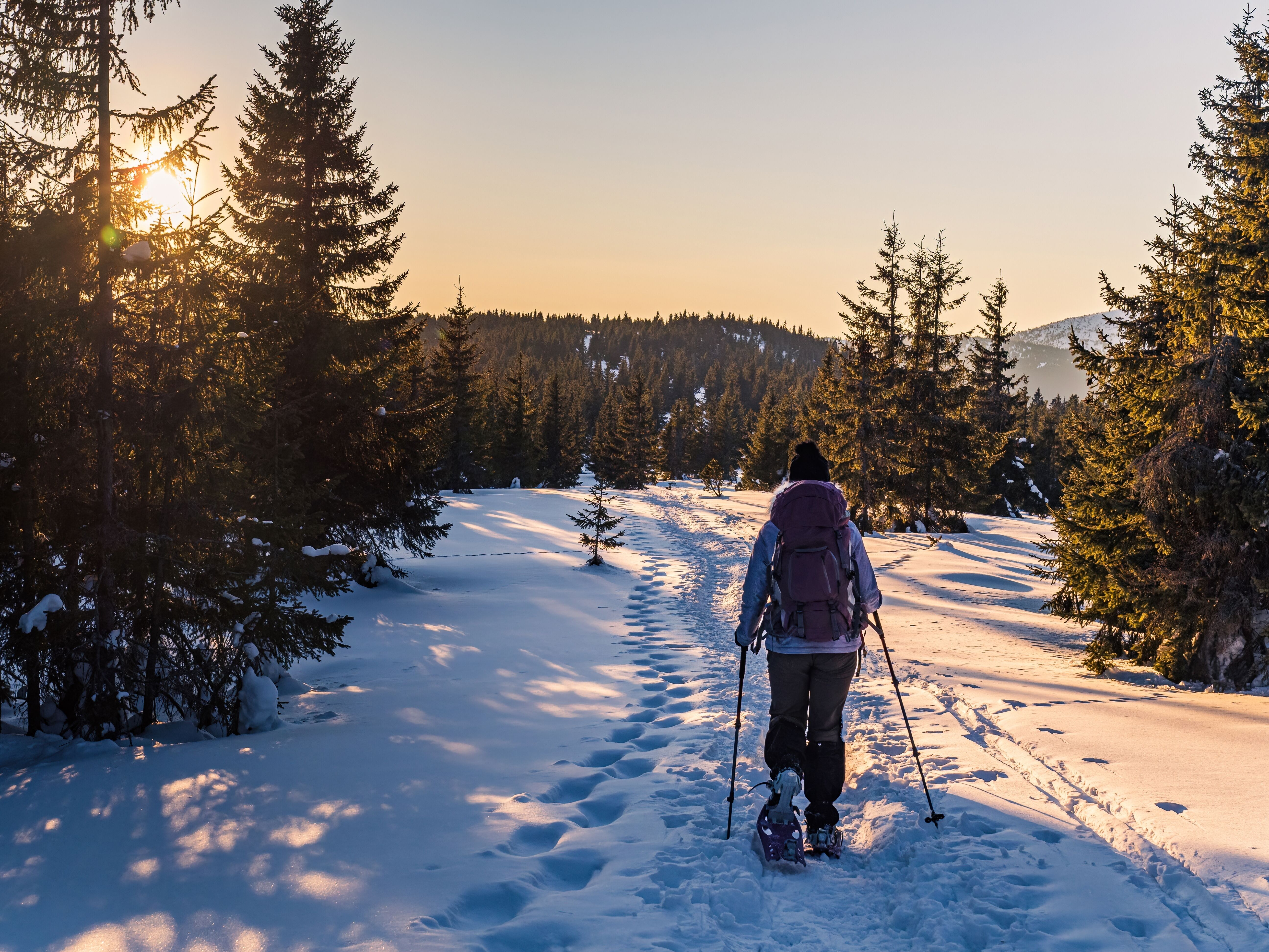 Matinée libre et ski-raquettes 