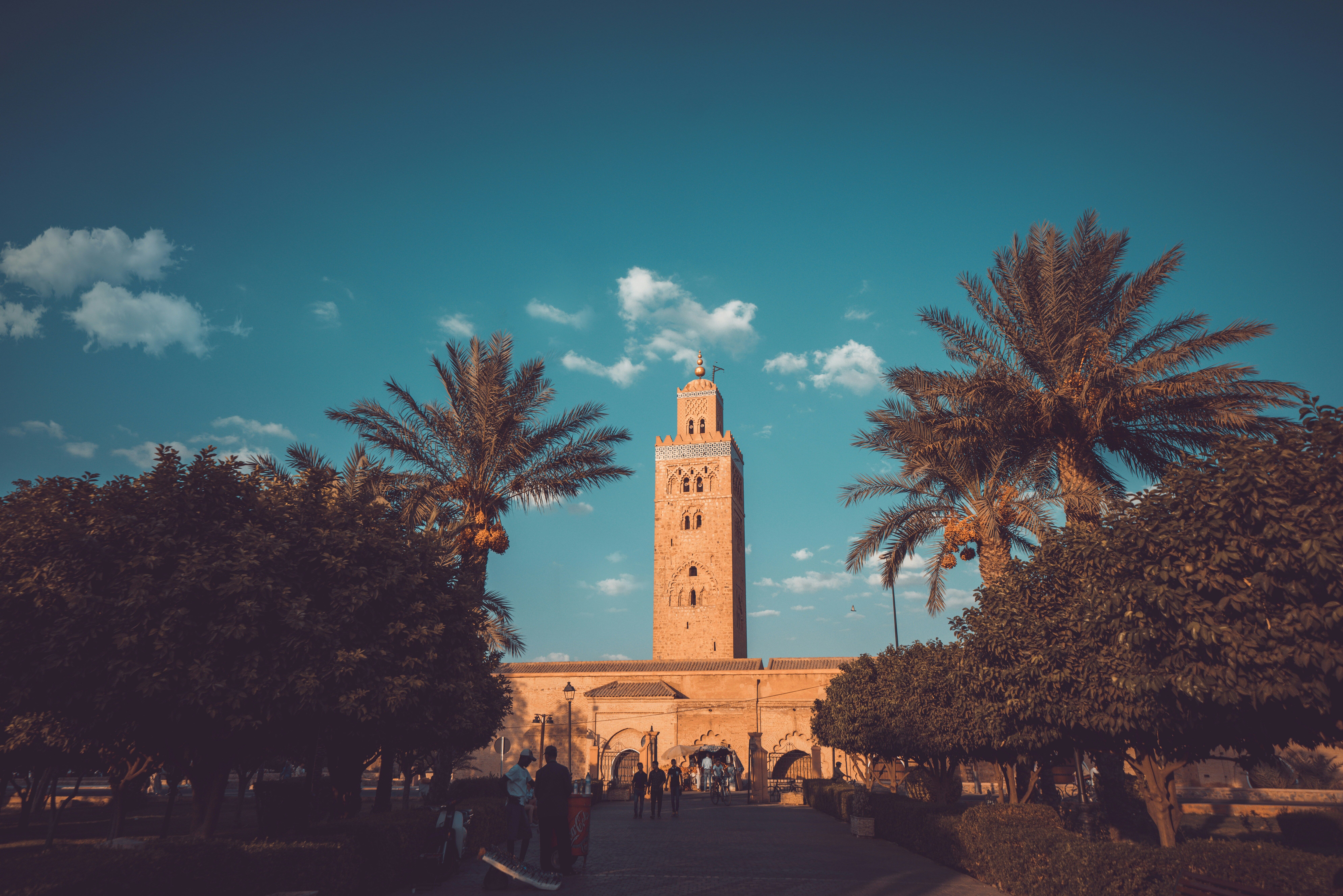 Vol pour Marrakech 