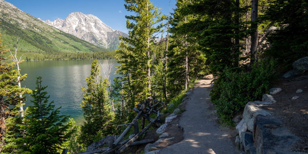 Yellowstone - Grand Teton - Jackson Hole 