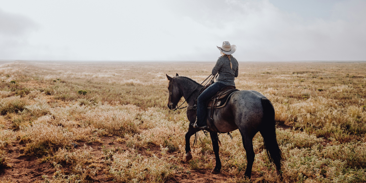 Cody : journée libre au ranch 