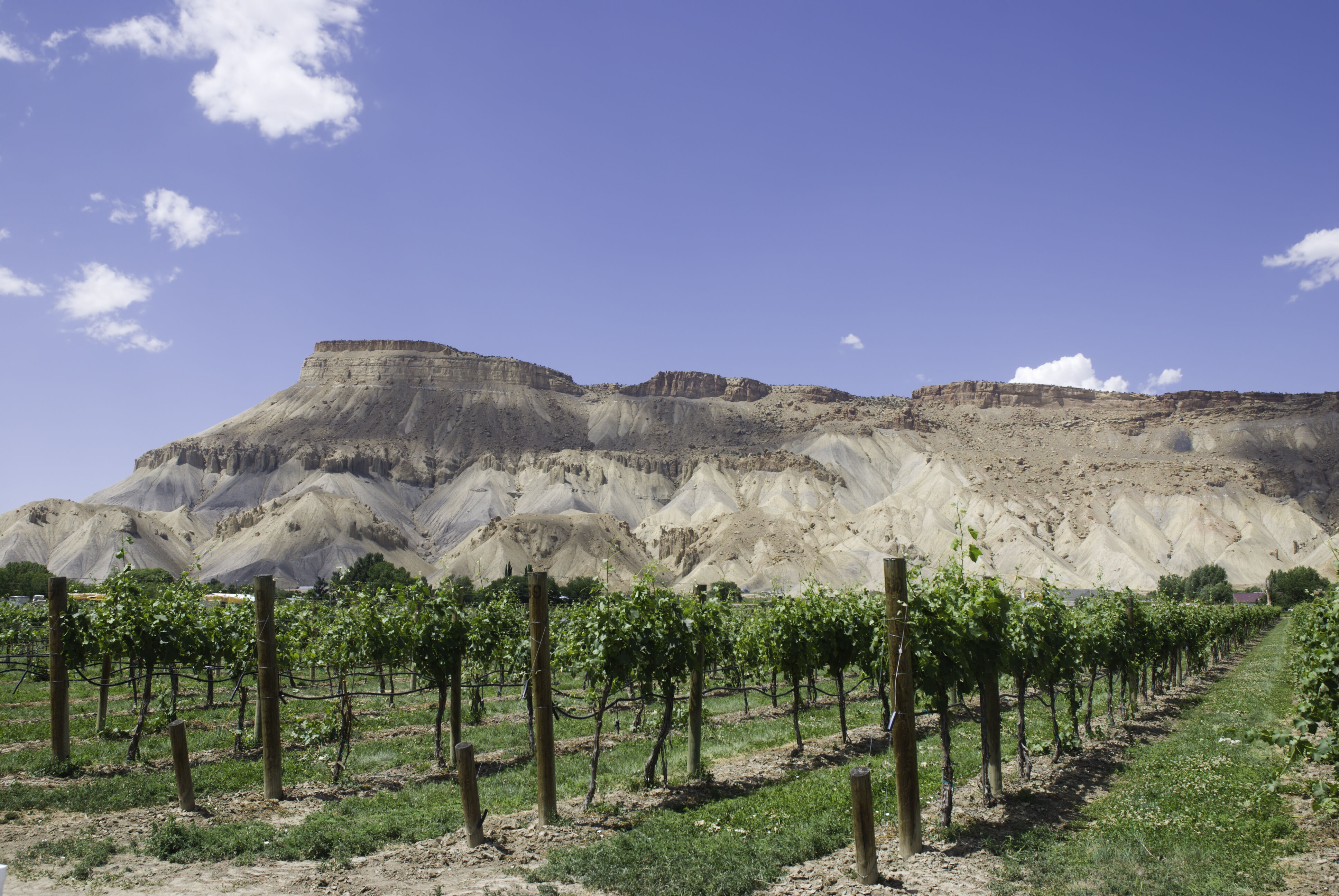 Salt Lake City - Grand Junction 