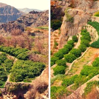Au coeur de la culture omanaise !