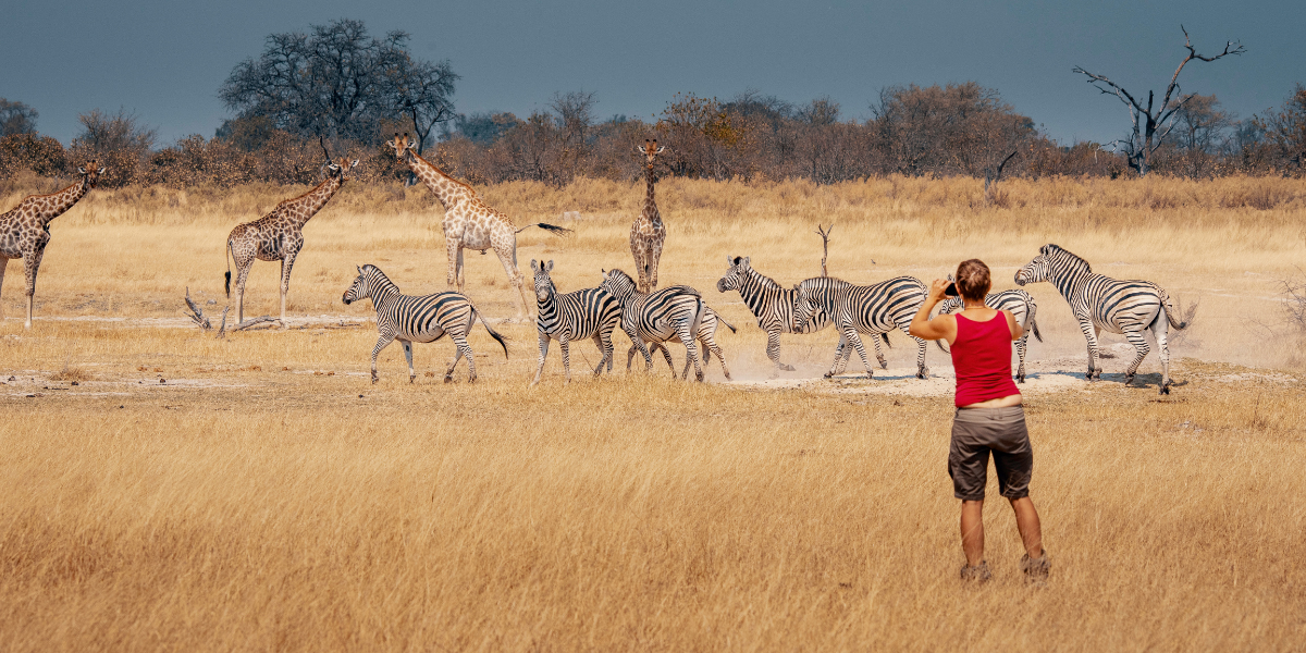 Safari dans le parc national de Tsavo