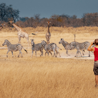 Safari dans le parc national de Tsavo