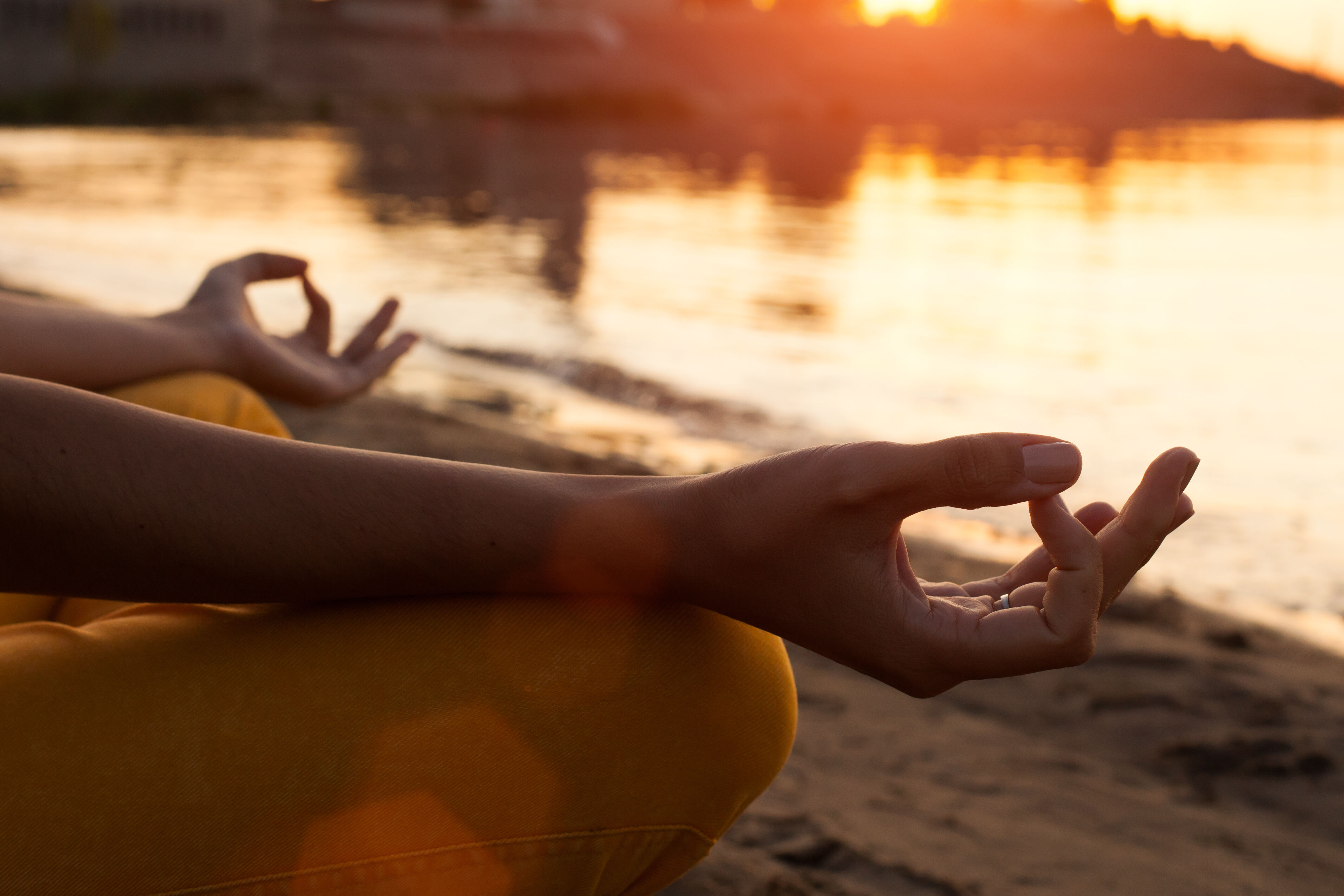 Kovalam - Trivandrum : vol retour 