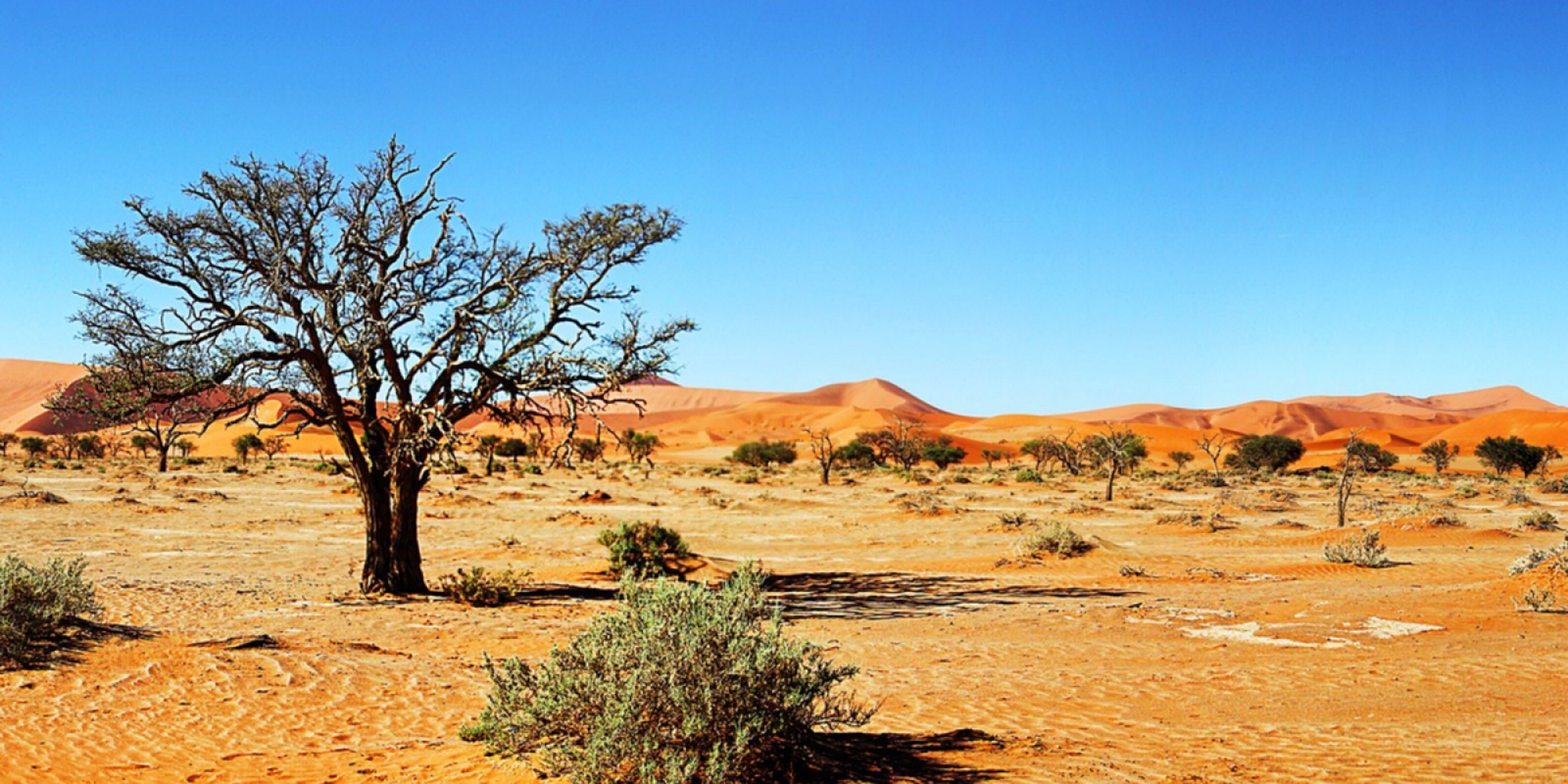 Solitaire & Swakopmund