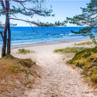 Sur les rives de la mer Baltique