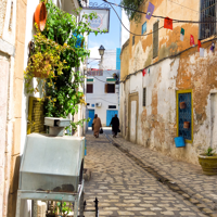 Tunis - Vol retour (non inclus)