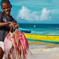 Journée libre et atelier créatif