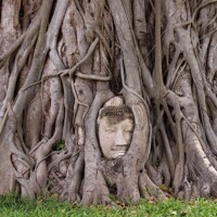 A la découverte d'Ayutthaya