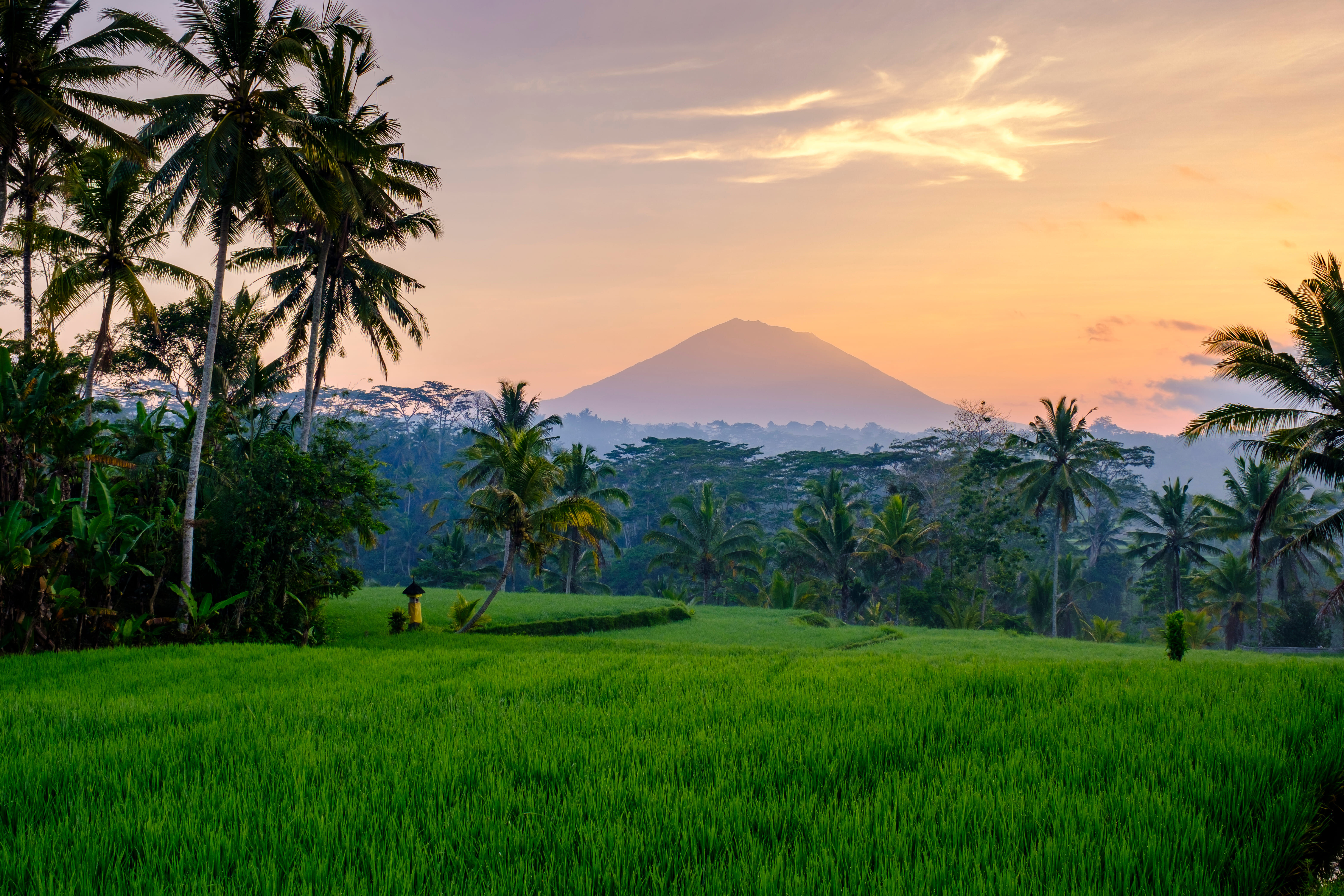 Bali : vol retour 
