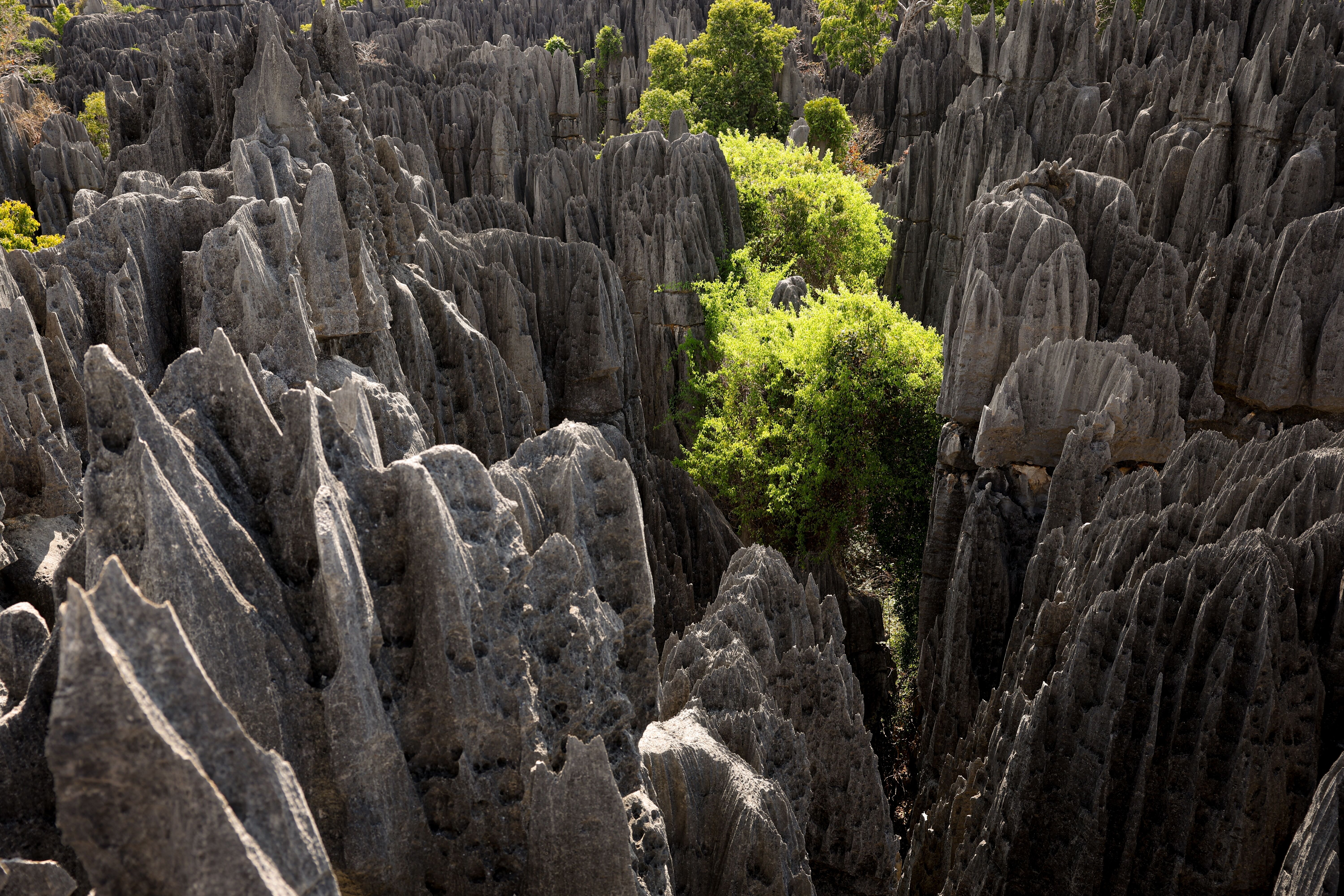 Ankarana : découverte des grottes