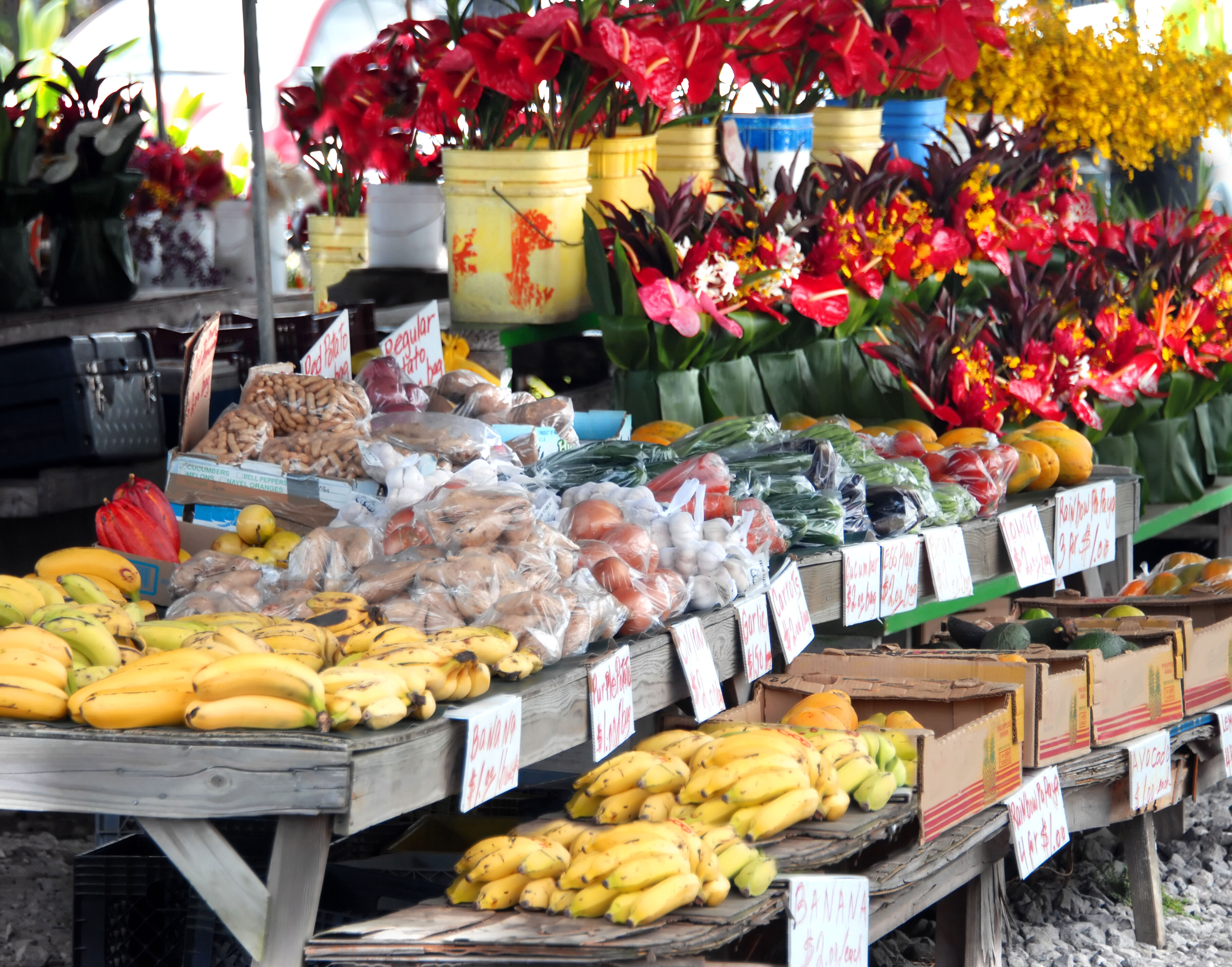 Marché et Parc national des Volcans 