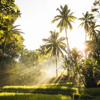 Selamat Datang di Bali les filles ! Promenade bucolique et massage traditionnel balinais