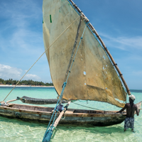 Journée libre à Diani