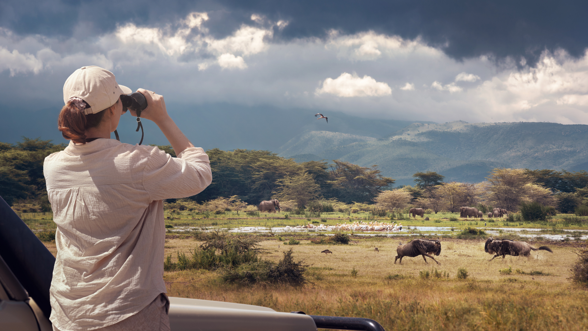 Aire de conservation du Ngorongoro ! 