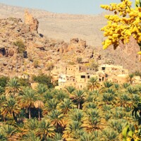 De village en village