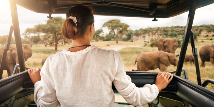 image de l'offre Safari en Tanzanie, farniente à Zanzibar