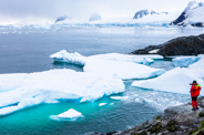 Antarctique, merveilles australes