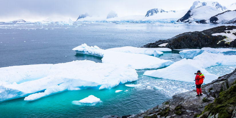 Antarctique, merveilles australes