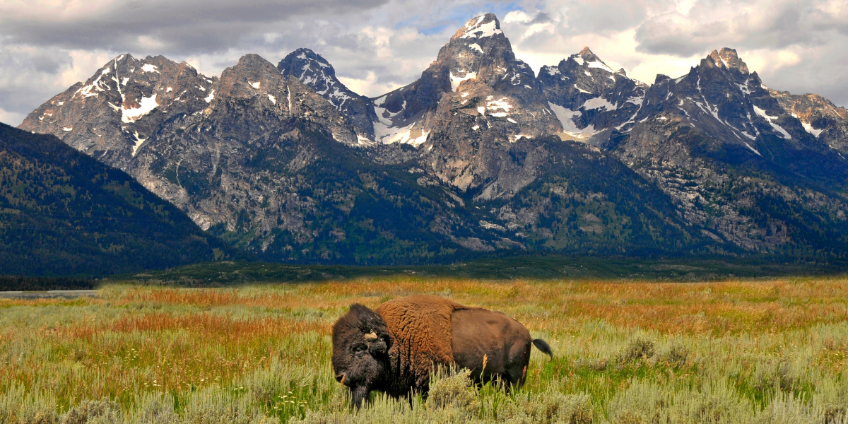 Circuit au coeur des Rocheuses américaines 