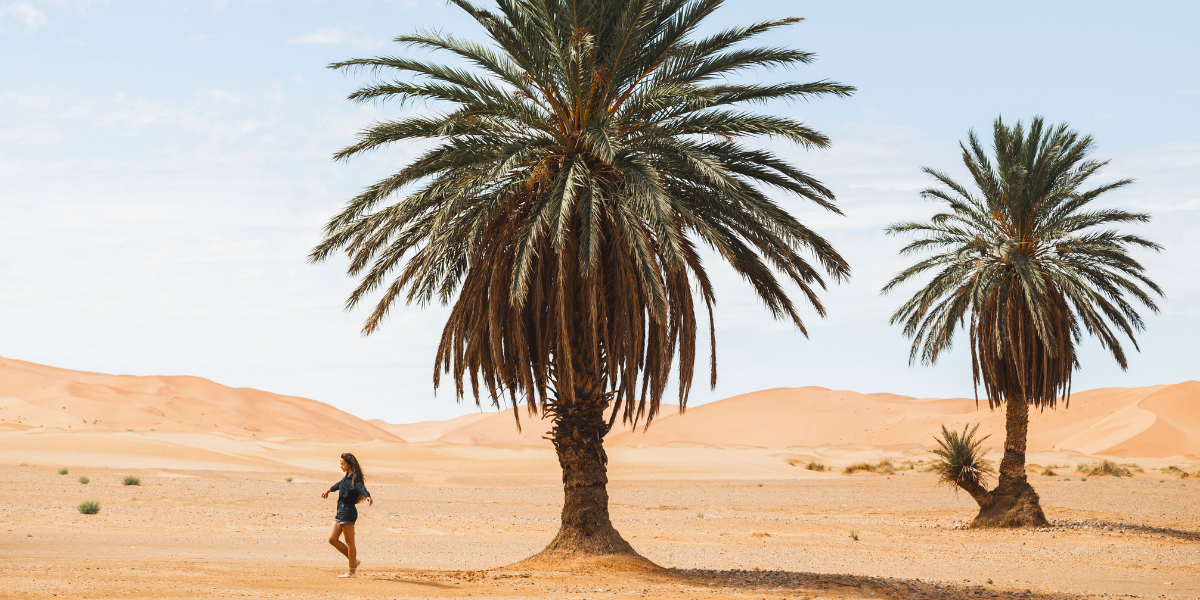 Oman, joyau d'Orient